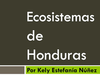 Por Kely Estefanía Núñez
 