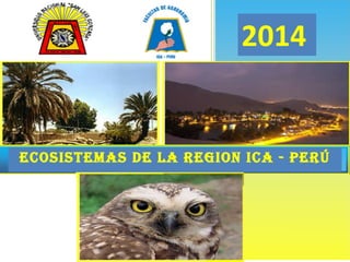 2014
ECOSISTEMAS DE LA REGION ICA - PERÚ
 