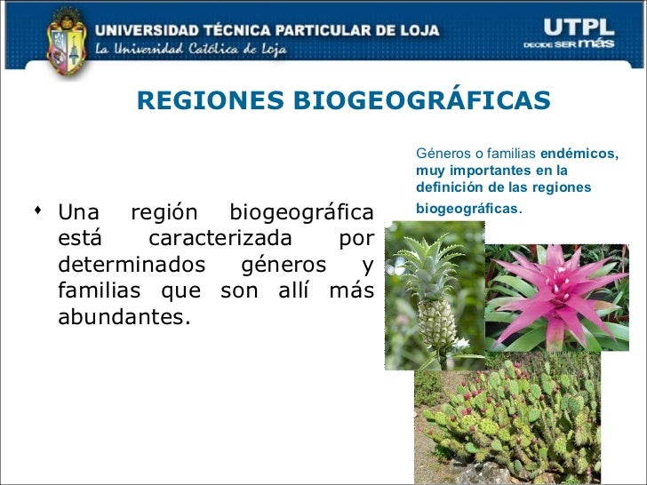ECOSISTEMAS DEL ECUADOR