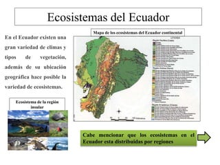 Ecosistemas del Ecuador
En el Ecuador existen una
gran variedad de climas y
tipos de vegetación,
además de su ubicación
geográfica hace posible la
variedad de ecosistemas.
Mapa de los ecosistemas del Ecuador continental
Ecosistema de la región
insular
Cabe mencionar que los ecosistemas en el
Ecuador esta distribuidas por regiones
 