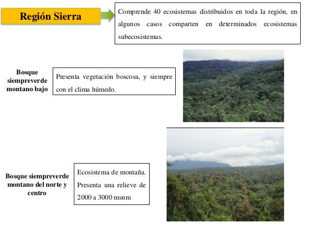 Ecosistemas Del Ecuador
