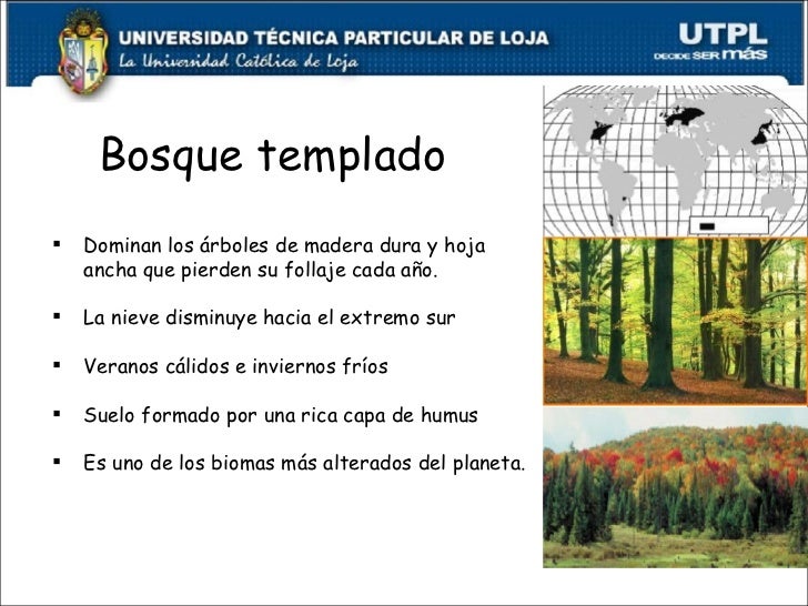 ECOSISTEMAS DEL ECUADOR (I BIMESTRE ABRIL AGOSTO 2011)