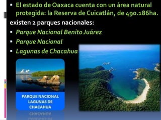  El estado de Oaxaca cuenta con un área natural
  protegida: la Reserva de Cuicatlán, de 490.186ha.
existen 2 parques nacionales:
 Parque Nacional Benito Juárez
 Parque Nacional
 Lagunas de Chacahua
 