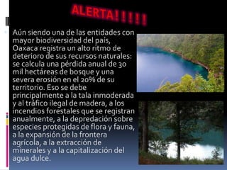  Aún siendo una de las entidades con
  mayor biodiversidad del país,
  Oaxaca registra un alto ritmo de
  deterioro de sus recursos naturales:
  se calcula una pérdida anual de 30
  mil hectáreas de bosque y una
  severa erosión en el 20% de su
  territorio. Eso se debe
  principalmente a la tala inmoderada
  y al tráfico ilegal de madera, a los
  incendios forestales que se registran
  anualmente, a la depredación sobre
  especies protegidas de flora y fauna,
  a la expansión de la frontera
  agrícola, a la extracción de
  minerales y a la capitalización del
  agua dulce.
 