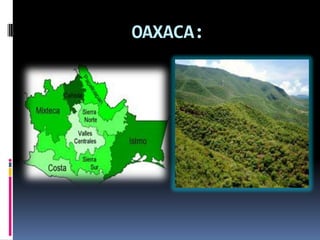 OAXACA:
 