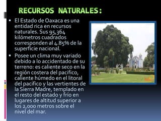  El Estado de Oaxaca es una
  entidad rica en recursos
  naturales. Sus 95,364
  kilómetros cuadrados
  corresponden al 4.85% de la
  superficie nacional.
 Posee un clima muy variado
  debido a lo accidentado de su
  terreno: es caliente seco en la
  región costera del pacifico,
  caliente húmedo en el litoral
  del pacifico y las vertientes de
  la Sierra Madre, templado en
  el resto del estado y frío en
  lugares de altitud superior a
  los 2,000 metros sobre el
  nivel del mar.
 