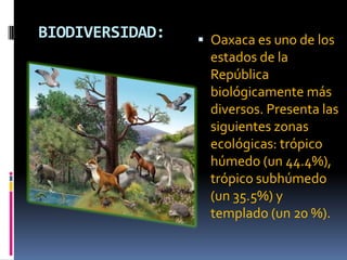 BIODIVERSIDAD:    Oaxaca es uno de los
                   estados de la
                   República
                   biológicamente más
                   diversos. Presenta las
                   siguientes zonas
                   ecológicas: trópico
                   húmedo (un 44.4%),
                   trópico subhúmedo
                   (un 35.5%) y
                   templado (un 20 %).
 