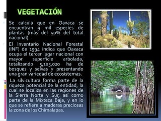  Se calcula que en Oaxaca se
  encuentran 9 mil especies de
  plantas (más del 50% del total
  nacional).
 El Inventario Nacional Forestal
  (INF) de 1994 indica que Oaxaca
  ocupa el tercer lugar nacional con
  mayor       superficie    arbolada,
  totalizando 5,105,020 ha de
  bosques y selvas y presentando
  una gran variedad de ecosistemas.
 La silvicultura forma parte de la
  riqueza potencial de la entidad, la
  cual se localiza en las regiones de
  la Sierra Norte y Sur, así como
  parte de la Mixteca Baja, y en lo
  que se refiere a maderas preciosas
  la zona de los Chimalapas.
 