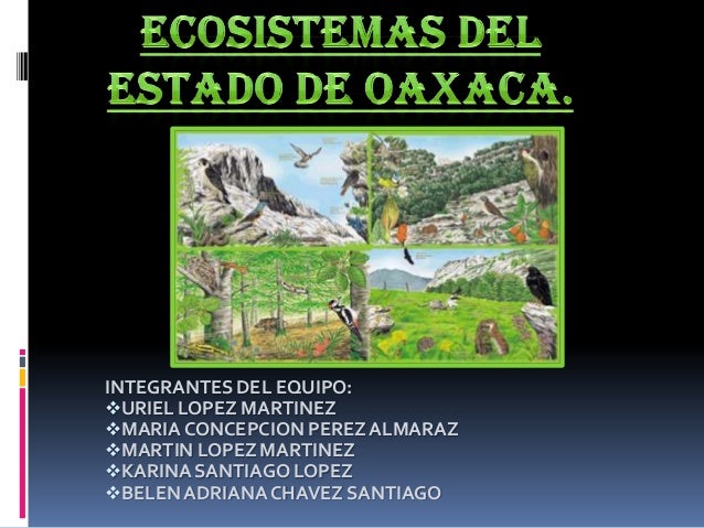 Cuales Son Los Ecosistemas Del Estado De Oaxaca