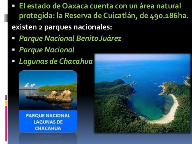 Ecosistemas del estado de oaxaca