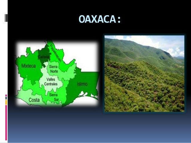 Ecosistemas del estado de oaxaca