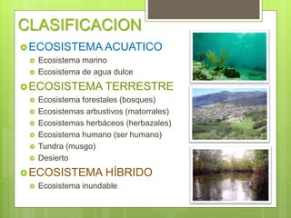 ecosistemasdelper-160422061052.pdf