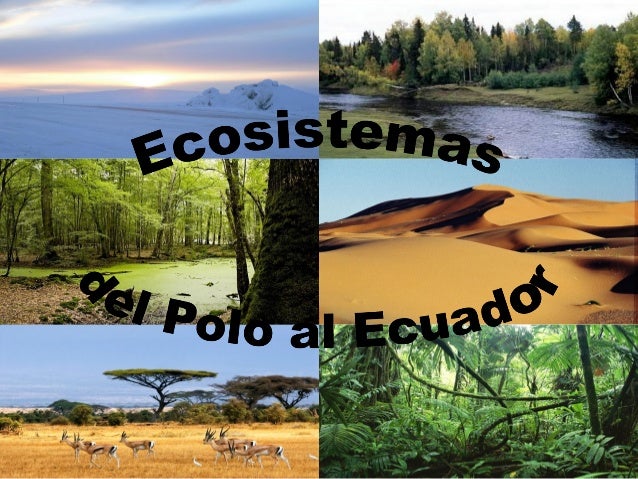 Ecosistemas Del Polo Al Ecuador Javi Alex Y Raul