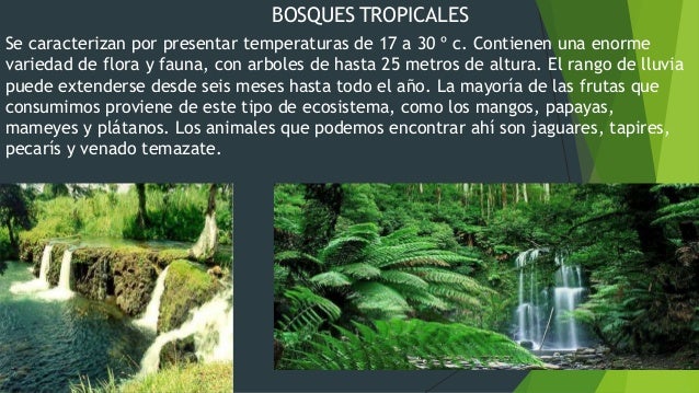 Ecosistemas de mex