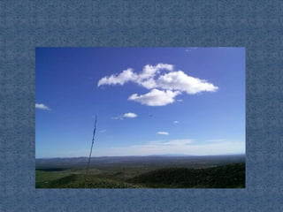 Ecosistemas de méxico