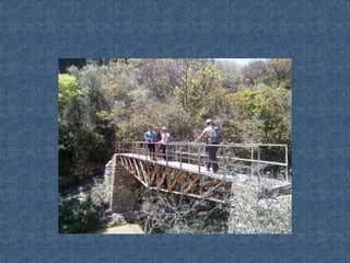 Ecosistemas de méxico