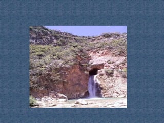 Ecosistemas de méxico