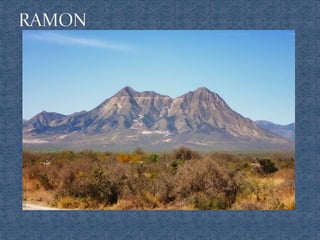 Ecosistemas de méxico