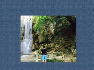 Ecosistemas de méxico