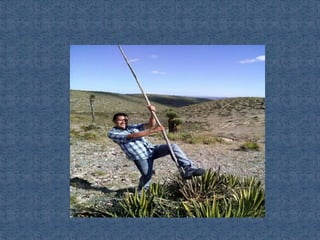 Ecosistemas de méxico