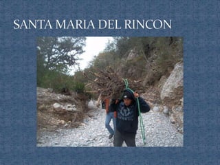 Ecosistemas de méxico