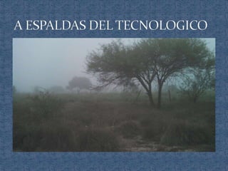 Ecosistemas de méxico