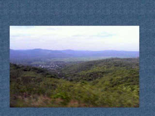 Ecosistemas de méxico