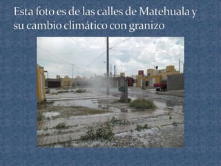 Ecosistemas de méxico