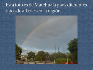 Ecosistemas de méxico