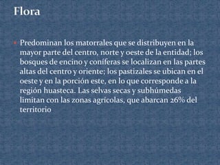  Predominan los matorrales que se distribuyen en la
mayor parte del centro, norte y oeste de la entidad; los
bosques de encino y coníferas se localizan en las partes
altas del centro y oriente; los pastizales se ubican en el
oeste y en la porción este, en lo que corresponde a la
región huasteca. Las selvas secas y subhúmedas
limitan con las zonas agrícolas, que abarcan 26% del
territorio