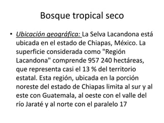 Bosque tropical seco
• Ubicación geográfica: La Selva Lacandona está
  ubicada en el estado de Chiapas, México. La
  superficie considerada como "Región
  Lacandona" comprende 957 240 hectáreas,
  que representa casi el 13 % del territorio
  estatal. Esta región, ubicada en la porción
  noreste del estado de Chiapas limita al sur y al
  este con Guatemala, al oeste con el valle del
  río Jaraté y al norte con el paralelo 17
 