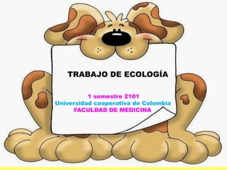 TRABAJO DE ECOLOGÍA
1 semestre 2101
Universidad cooperativa de Colombia
FACULDAD DE MEDICINA
 