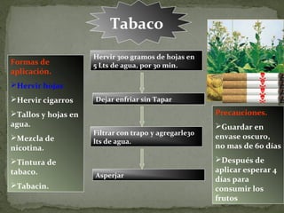Tabaco
                     Hervir 300 gramos de hojas en
Formas de            5 Lts de agua, por 30 min.
aplicación.
Hervir hojas
Hervir cigarros     Dejar enfriar sin Tapar

Tallos y hojas en                                     Precauciones.
agua.                                                  Guardar en
                     Filtrar con trapo y agregarle30
Mezcla de                                             envase oscuro,
                     lts de agua.
nicotina.                                              no mas de 60 días
Tintura de                                            Después de
tabaco.                                                aplicar esperar 4
                     Asperjar
                                                       días para
Tabacin.                                              consumir los
                                                       frutos
 