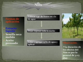 Colocar 2 gr. de frutos en 1 Lt
 Formas de       de agua
 aplicación

 Extracto
  líquido        Dejar reposar toda la noche
 Semilla seca
  molida
 Aceite
                 Colar y agregar 15 lts de agua y   Observación.
  prensado       aplicar
                                                    La duración de
                                                    los efectos del
                                                    Nim es por lo
                                                    general de 3 a 5
                                                    días
 
