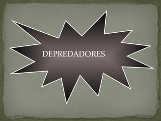 DEPREDADORES
 