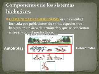 COMUNIDAD O BIOCENOSIS es una entidad
  formada por poblaciones de varias especies que
  habitan en un área determinada y que se relacionan
  entre sí y con el medio físico.



Autótrofas                                 Heterótrofas
 