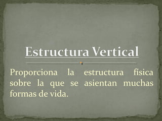 Proporciona la estructura física
sobre la que se asientan muchas
formas de vida.
 
