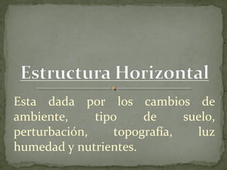Esta dada por los cambios de
ambiente,     tipo     de     suelo,
perturbación,     topografía,   luz
humedad y nutrientes.
 