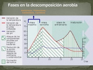 Amilolíticos, Proteolíticos,
 Celulolíticos, Lipolíticos
 
