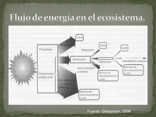 Fuente: Gliessman, 2006
 