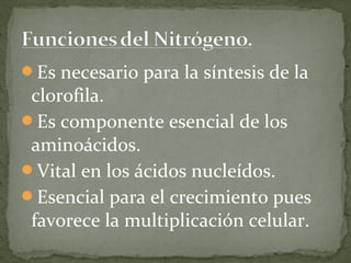 Es necesario para la síntesis de la
 clorofila.
Es componente esencial de los
 aminoácidos.
Vital en los ácidos nucleídos.
Esencial para el crecimiento pues
 favorece la multiplicación celular.
 