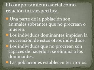 Una parte de la población son
 animales sobrantes que no procrean o
 mueren.
Los individuos dominantes impiden la
 procreación de estos otros individuos.
Los individuos que no procrean son
 capaces de hacerlo si se elimina a los
 dominantes.
Las poblaciones establecen territorios.
 