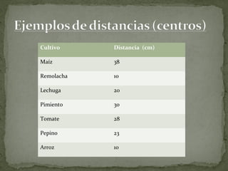 Cultivo     Distancia (cm)

Maíz        38

Remolacha   10

Lechuga     20

Pimiento    30

Tomate      28

Pepino      23

Arroz       10
 