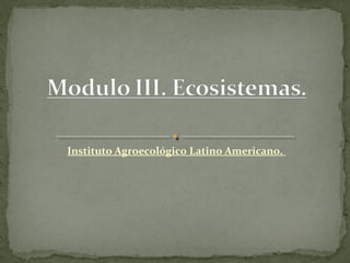 Instituto Agroecológico Latino Americano.
 