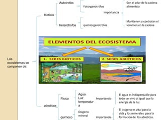 Los
ecosistemas se
componen de:
Bioticos
abioticos
Fisico
quimoco
Agua
Luz
temperatur
a
Oxigeno
mineral
Autotrofos
heterotrofos
El agua es indispensable para
todo ser vivo al igual que la
energia de la luz
El oxigeno es vital para la
vida y los minerales para la
formacion de los abioticos.
Importancia
importancia
Fotorganotrofos
quimiorganotrofos
Son el pilar de la cadena
alimentcia
Mantienen y controlan el
volumen en la cadena
importancia