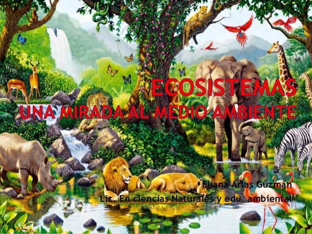 Ecosistemas Una Mirada Al Medio Ambiente
