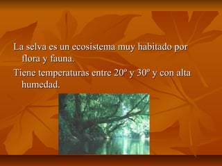 La selva es un ecosistema muy habitado porLa selva es un ecosistema muy habitado por
flora y fauna.flora y fauna.
Tiene temperaturas entre 20º y 30º y con altaTiene temperaturas entre 20º y 30º y con alta
humedad.humedad.
 