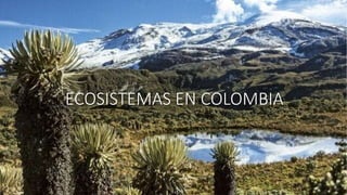 ECOSISTEMAS EN COLOMBIA
 