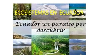 ECOSISTEMAS EN ECUADOR
 