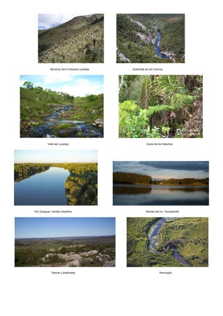 Serranía Cerro Arequita Lavalleja Quebrada de los Cuervos
Valle del Lunarejo Gruta de los Helechos
Río Queguay montes ribereños Montes del río Tacuarembó
Sierras y quebradas Arerunguá
 